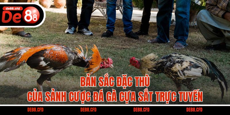 Bản sắc đặc thù của sảnh cược đá gà cựa sắt trực tuyến