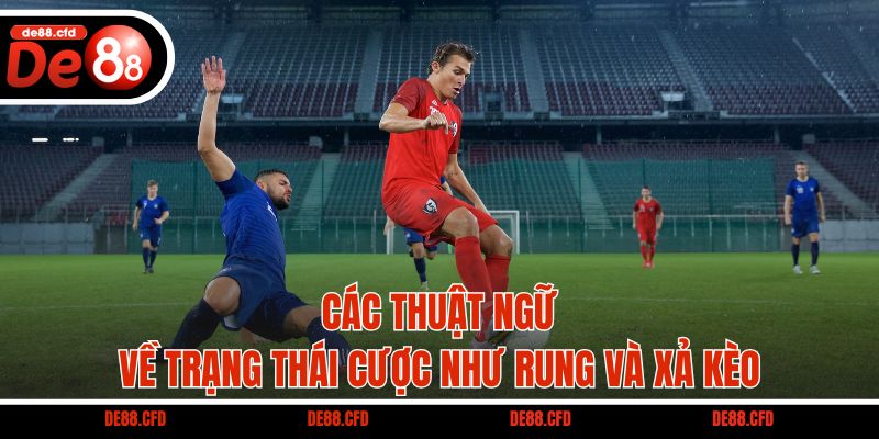 Các thuật ngữ về trạng thái cược như rung và xả kèo