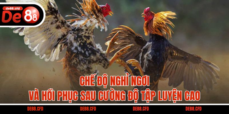 Chế độ nghỉ ngơi và hồi phục sau cường độ tập luyện cao
