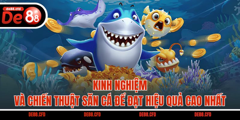 Kinh nghiệm và chiến thuật săn cá để đạt hiệu quả cao nhất