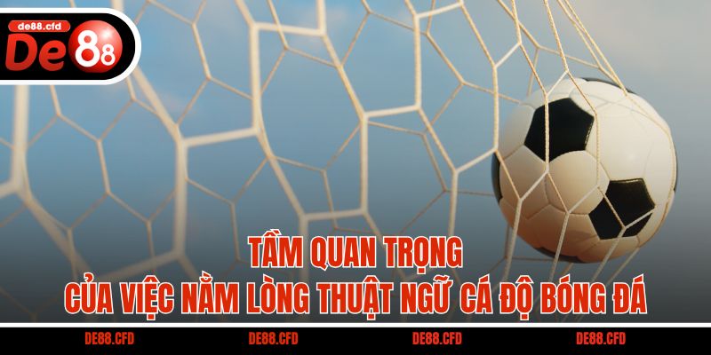 Tầm quan trọng của việc nằm lòng thuật ngữ cá độ bóng đá
