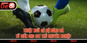 Thuật Ngữ Cá Độ Bóng Đá - Từ Điển Cho Bet Thủ Chuyên Nghiệp